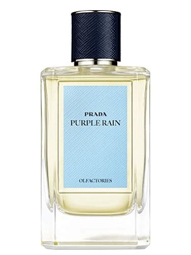 Prada purple rain scent